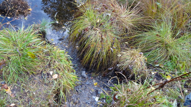 Bulten und Schlenken