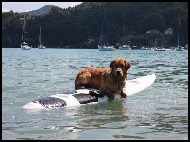 Leo am Surfbrett