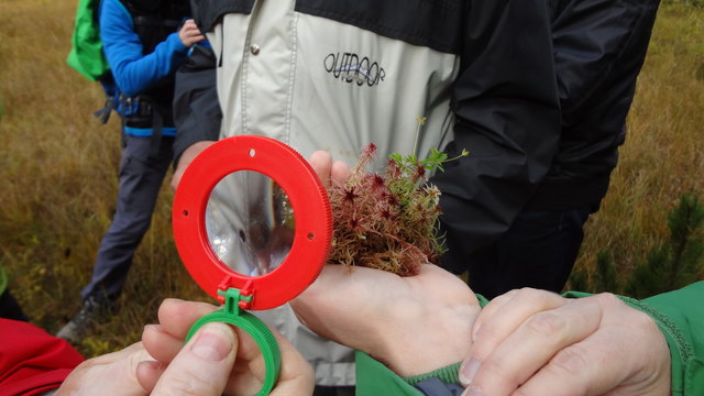 Was haben wir denn da?