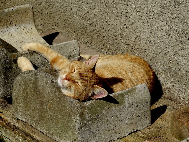 dieser alte Löffelstein