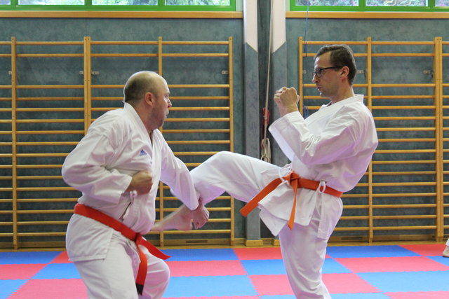 Karate trainiert unter anderem Balance und Koordination. | Foto: Union Karate Sportverein Purkersdorf