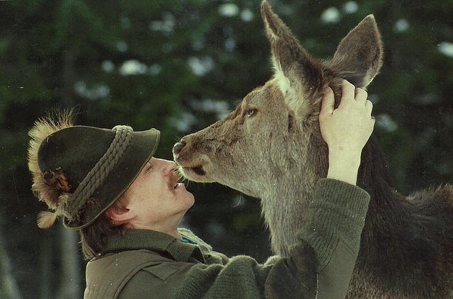 Martin Prumetz lebte 20 Jahre in enger Vertrautheit mit wildlebenden Hirschen in der Höll bei Weichselboden. | Foto: Prumetz