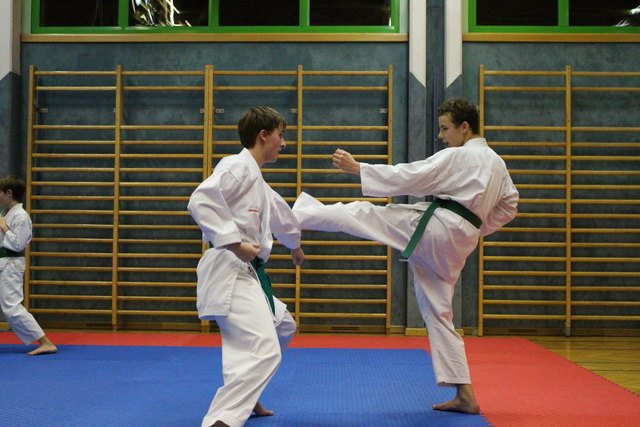 Foto: Union Karate Sportverein Purkersdorf