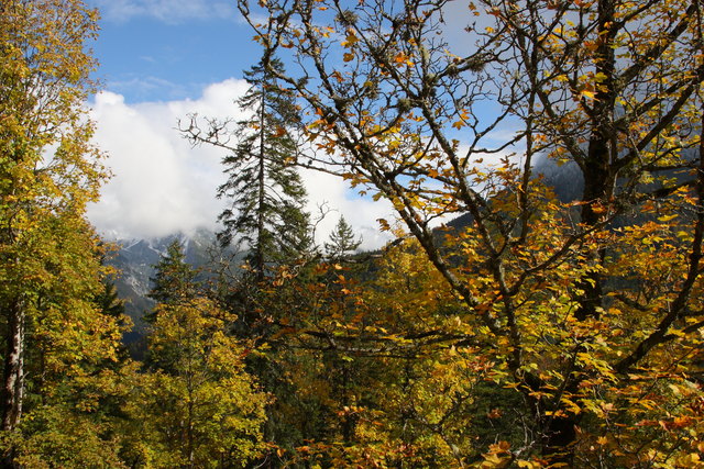Der Herbst lässt grüßen.