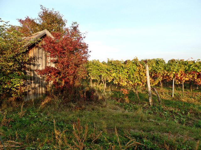 Am Wagram, Fels-Umgebung