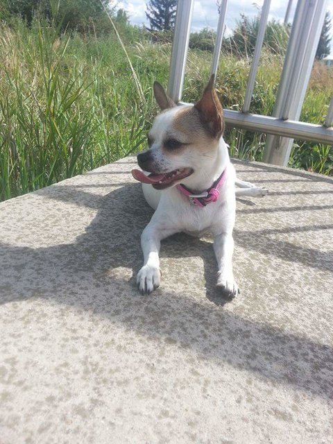 Unsere Sunny (1jahr alt)