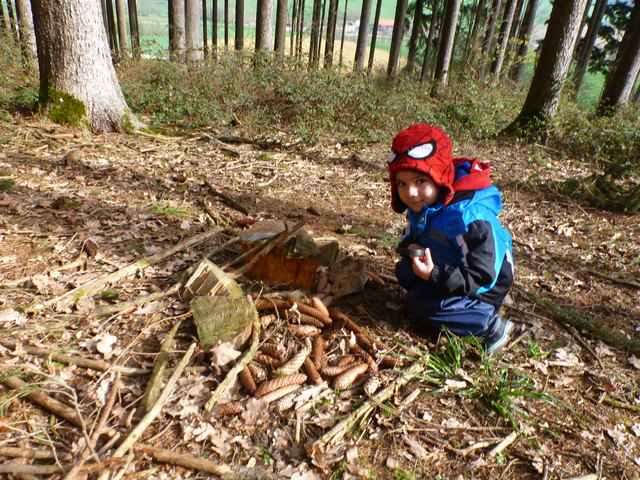 Kinder, die von der Natur lernen - Wels & Wels Land