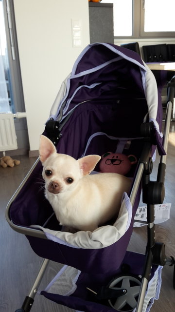 UNSERE BABY TINKA