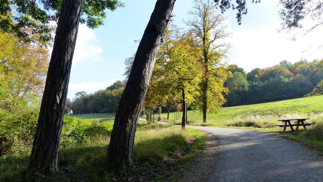 Lainzer Tiergarten im Herbst - Donaustadt