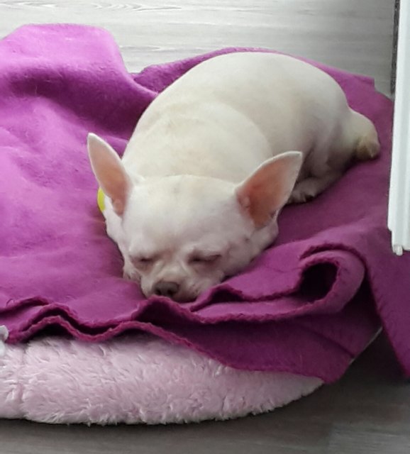 tinka
