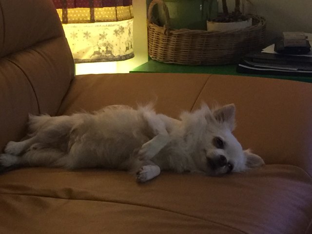 Chillmodus!