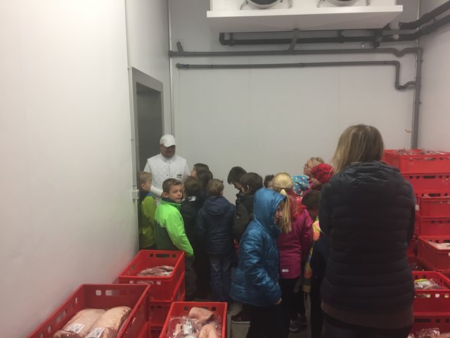 Die dritte Klasse der Volksschule Gols war beim AGM in Neusiedl am See | Foto: WK