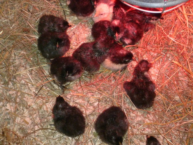 Foto: Bettina Hinterholzer