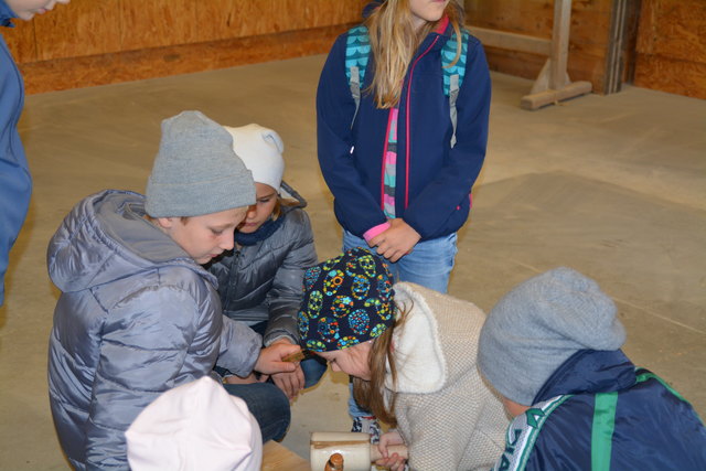 3. und 4. Klasse der Volksschule Weiden am See bei Holzbau Kast in Gols