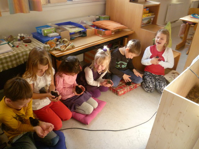 Foto: Bettina Hinterholzer