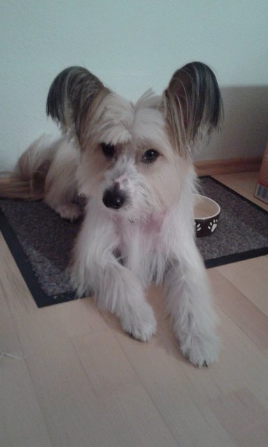 unser ody ist einfach der beste und liebste!!!