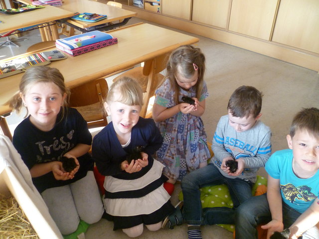 Foto: Bettina Hinterholzer