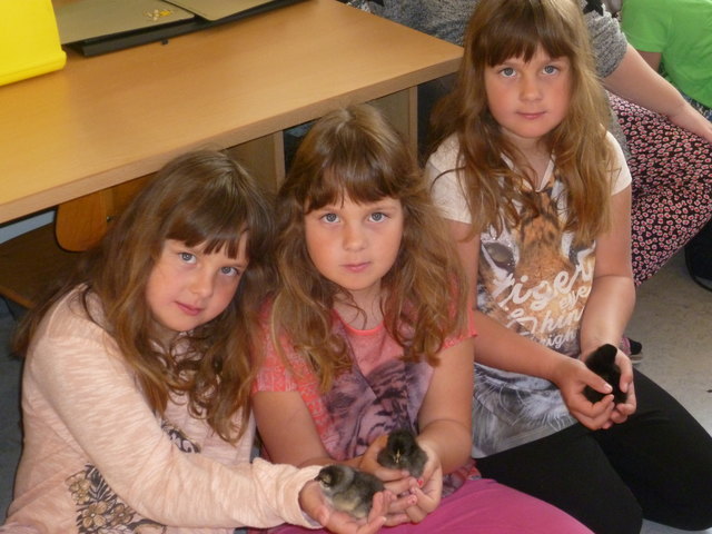 Foto: Bettina Hinterholzer