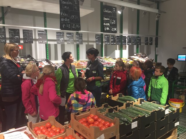 Die dritte Klasse der Volksschule Gols war beim AGM in Neusiedl am See | Foto: WK