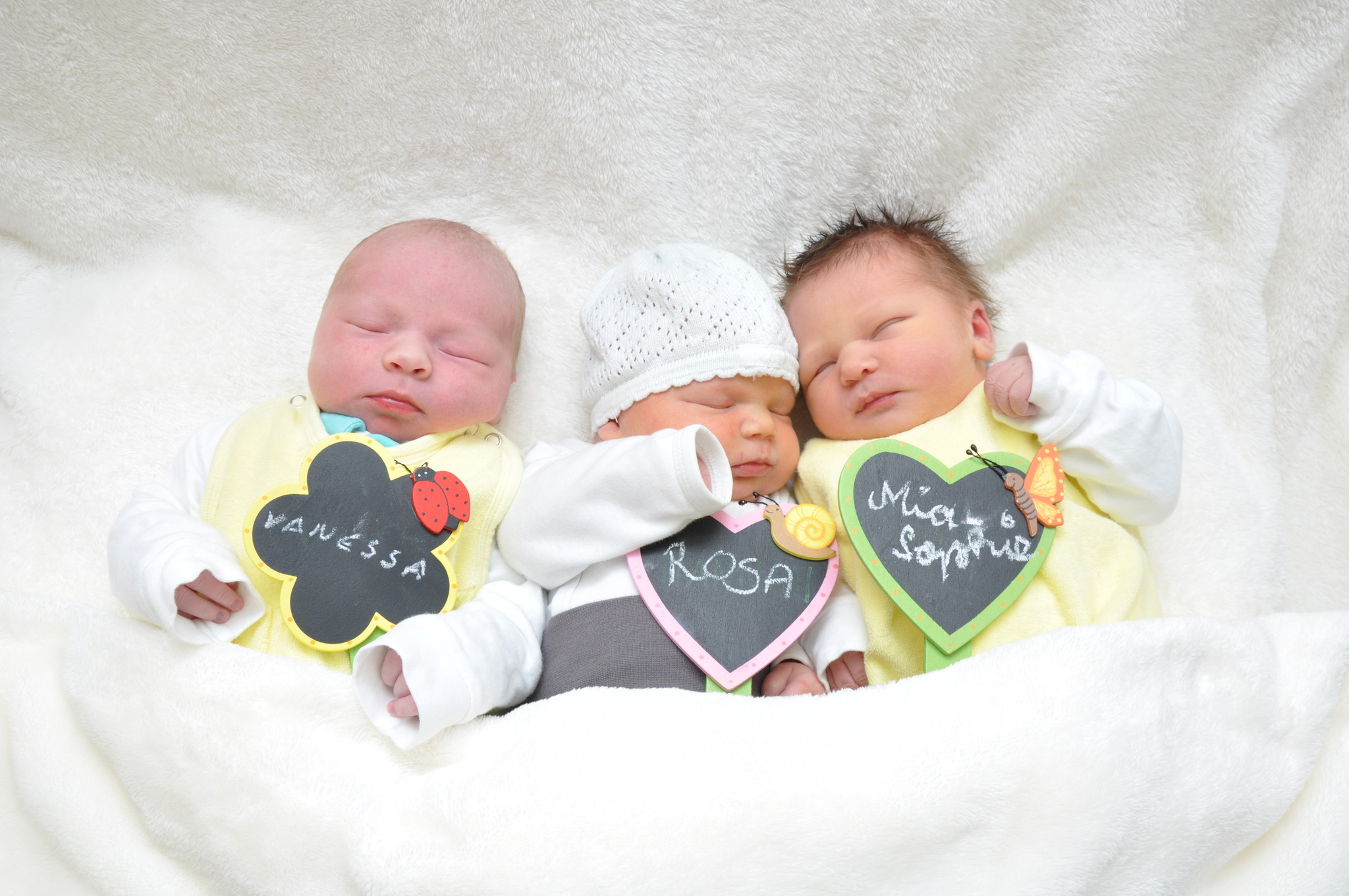 Fabelhaftes Baby-Trio beim Fotoshooting - Freistadt