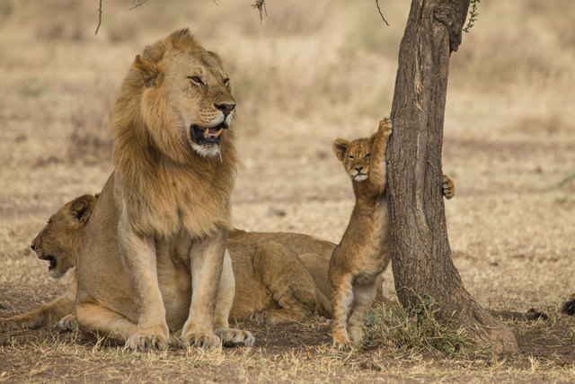 Sepp Friedhuber ist ein vielfach preisgekrönter Naturfotograf. | Foto: Sepp Friedhuber