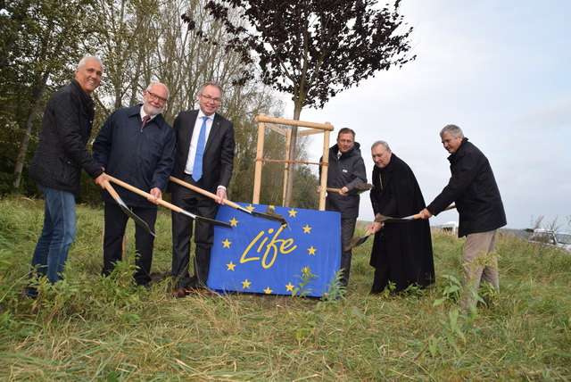 Promis haben letzten Baum gepflanzt: Mantler, Kühtreiber, Pernkopf, Amerer, Fürnsinn und Allmer. | Foto: Zeiler