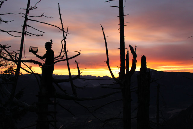 Gelebtes Brauchtum in Bad Goisern - Morgenstimmung beim Vogelfang