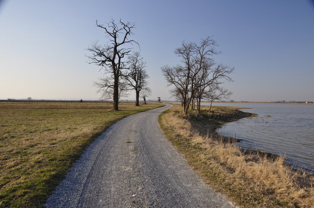 Wandern entlang der Langen Lacke im Burgenland