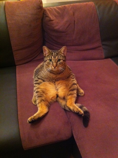 Sitzen klappt schon mal :-) :-) :-)