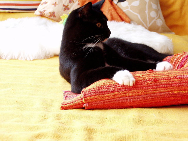 Was tut sich da?