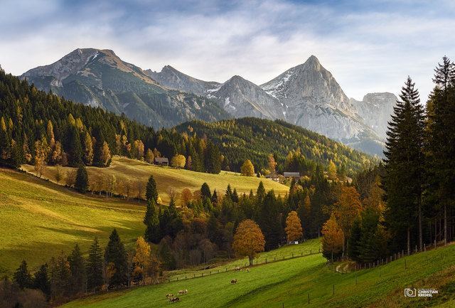 Für mich ist der Herbst symbolisch die Zeit, in der Vergangenes hinter sich gelassen wird - Zeit für Neues. Die Blätter an den Bäumen färben sich, fallen von den Ästen und geben so den Platz für die nächsten Blätter frei.
Vieles wird ruhiger und langsamer. Die vorletzte Jahreszeit gibt Zeit, um den Gedanken über das Vergangene und das Künftige nachzugehen, neue Ideen wachsen zu lassen und zu ordnen.