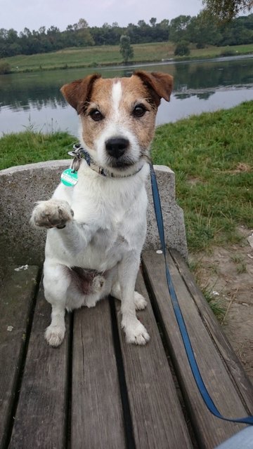 Ludwig wünscht einen schönen Tag