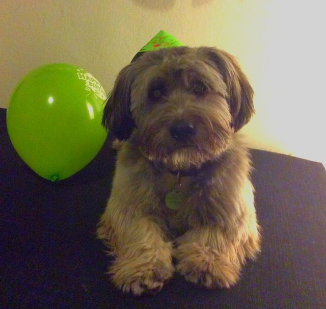 Slinky 1. Geburtstag