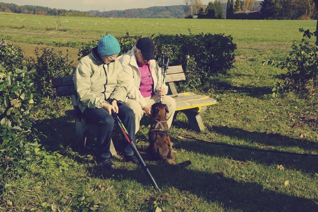 Wanderbellen mit allen Altersgruppen und tierischer Begleitung