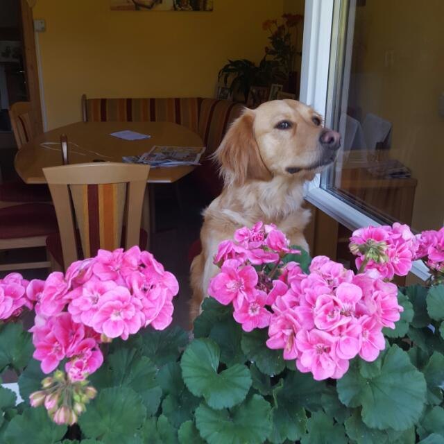 das ist unsere Chiara