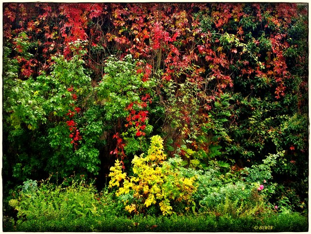 .. liebt es bunt ..