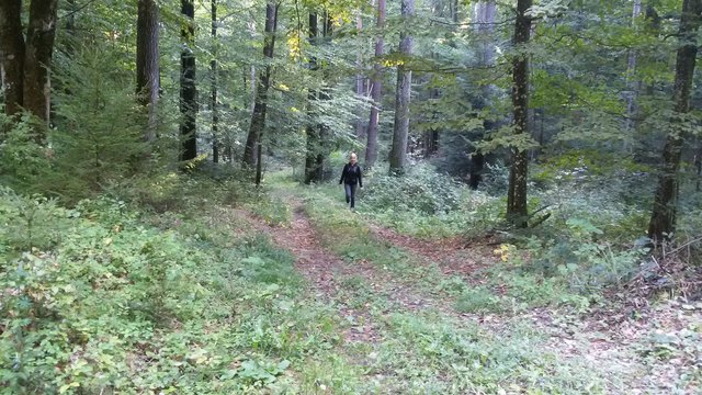 Am liebsten wandere ich im Wald. Dabei genieße ich die knisternden Geräusche des Bodens, die frische Luft, die vielen bunten Farben und Formen. Ideal um die Seele baumeln zu lassen und aufzutanken!
