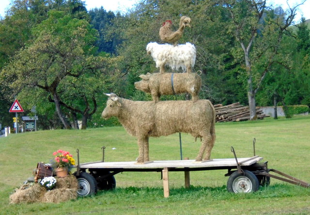 Almabtrieb in St. Wolfgang