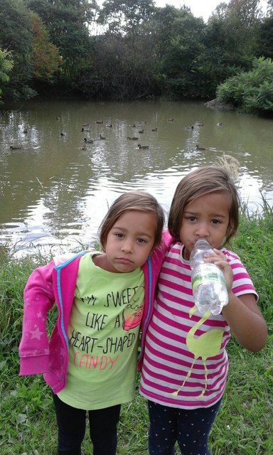Warum in die Ferne schweifen, wenn das Schöne ist so nah - Beim Enten füttern am Stieberteich!