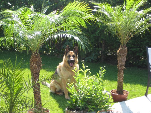 Das ist auch für unseren Sunny die schönste Jahreszeit - raus in den Garten