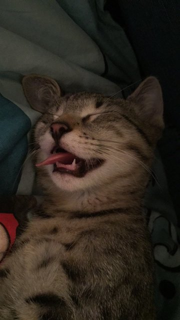Sleep Well little Baby