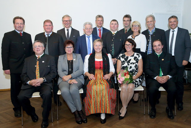 Die ausgezeichneten Tolleter bei der Verleihung im Schloss. | Foto: Baminger