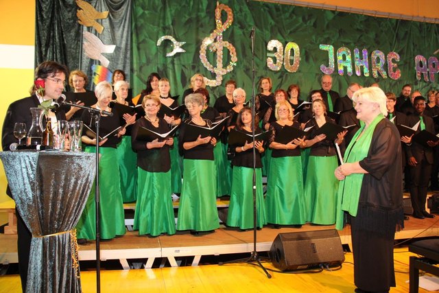 30 Jahre Applaus war das Motto des Festabends. | Foto: Cescutti