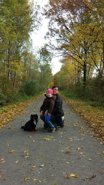 Unser täglicher Spaziergang in dieser schönen Herbstzeit. - Blätter leuchten am Baum,  in der Luft, am Boden. Farbtupfer der Saison.  (© Jo. M. Wysser)