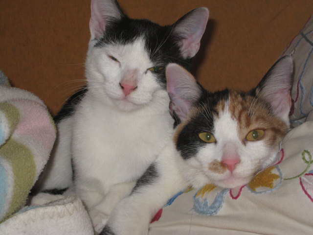 Zusammenkuscheln