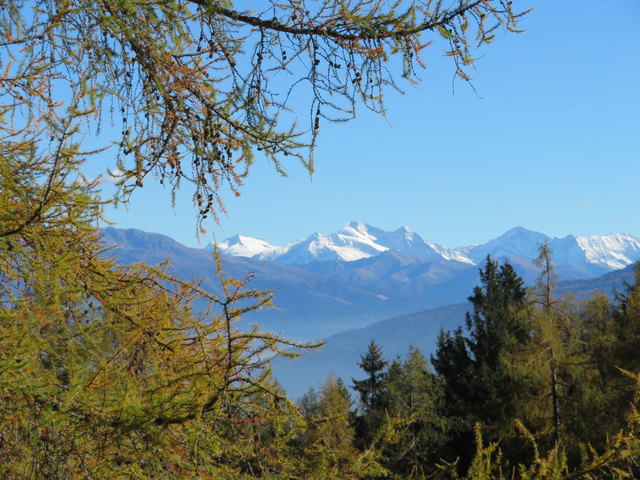 Blick über den Bendlstein zum schneebedeckten Olperer