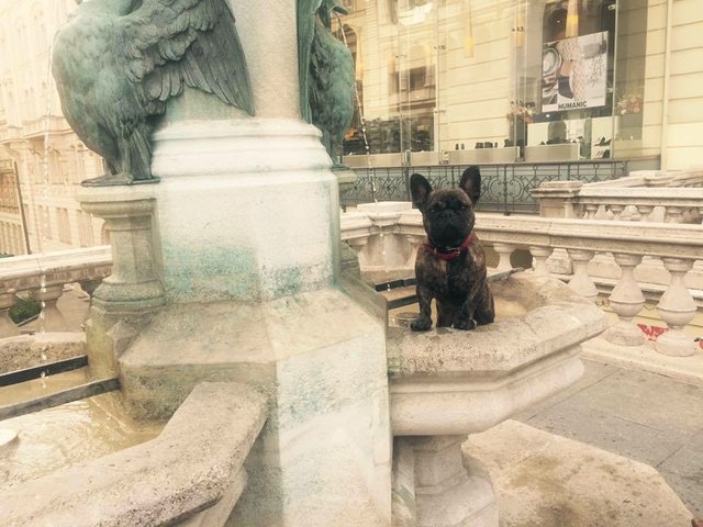 Dova's Lieblingsbrunnen auf der MaHü