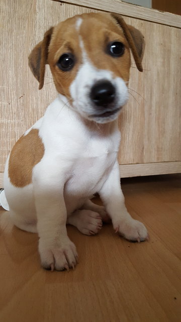 Mein kleiner Wirbelwind :)