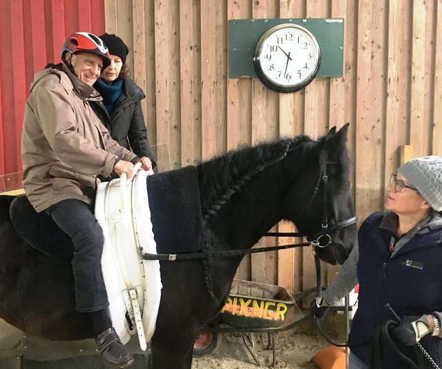 Wallach "Sir Otis" ist gutmütig. Ältere Menschen fühlen sich wohl auf seinem Rücken.