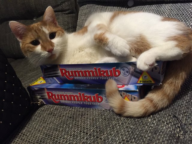 Auch in Mamis Spieleschachtel fühle ich mich wohl 
